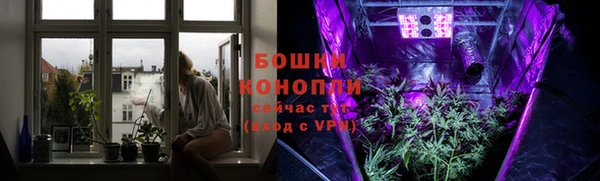 эйфоретик Покачи