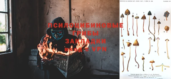 прущая мука Покровск