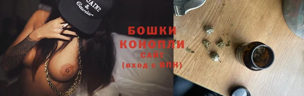 эйфоретик Покачи