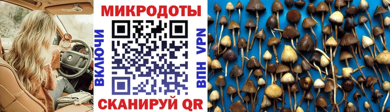 Галлюциногенные грибы ЛСД  где найти   Чегем 
